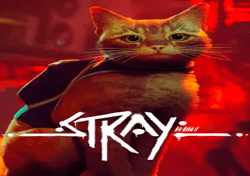 STRAY: SOUNDTRACK EDITION – PTBR